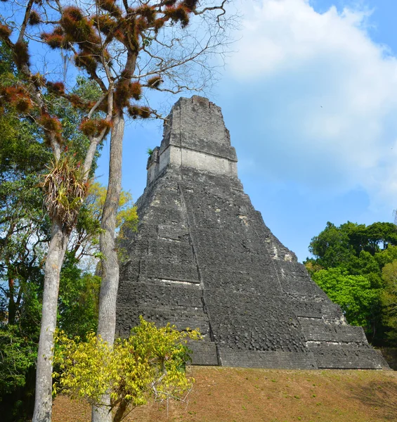 Tikal Guatemala Mayo 2016 Sitio Arqueológico Civilización Maya Precolombina Parque —  Fotos de Stock