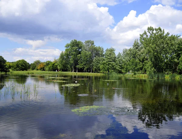 Hermosa Vista Soleada Del Verano Sobre Río Vistula Ciudad Kazimierz — Foto de Stock