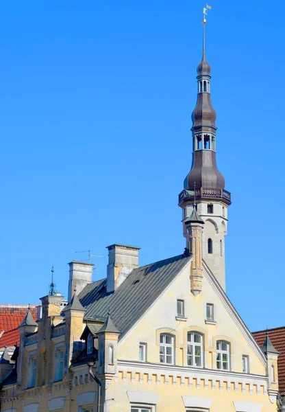 Tallinn Estonia 2015 Das Rathaus Von Tallinn Ist Ein Gebäude — Stockfoto
