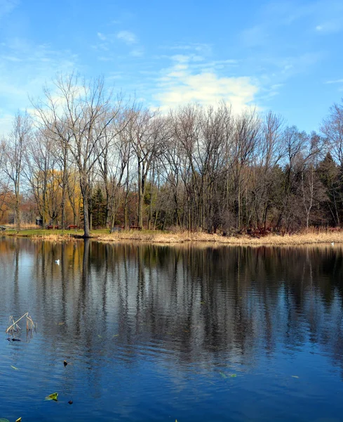 湖と森の秋の自然 — ストック写真