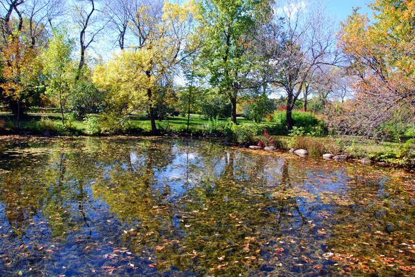 Fluss Einer Herbstsaison — Stockfoto