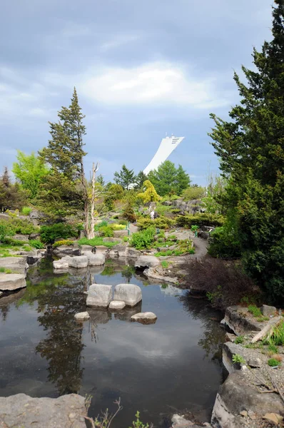 beautiful mountain landscape with waterfall and trees