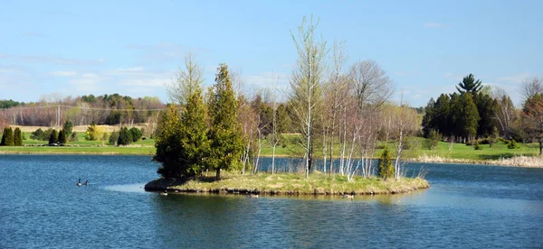 Spring Landscape Quebec Provibnce Canada — Stock Photo, Image