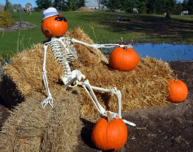 Granby QueBEC CANADA 10 26 17: cadılar bayramı iskeleti korkuluğu ya da saman adam insan şeklinde bir yem ya da manken..