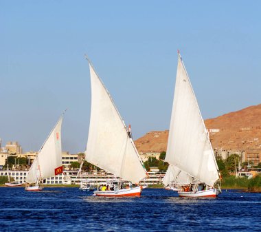 ASWAN EGYPT 11 25 08: Felucca Aswan, Mısır yakınlarındaki Nil nehri üzerinde yelken açıyor. Bugün görülen Feluccalar MÖ 3350 yılında icat edildi.