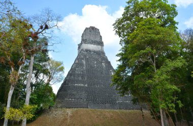 TIKAL, GUATEMALA MAYIS 03 2016: Guatemala Tikal Ulusal Parkı 'ndaki Kolomb öncesi Maya uygarlığının arkeolojik alanı 1979' dan beri UNESCO Dünya Mirası Alanı 'dır. 