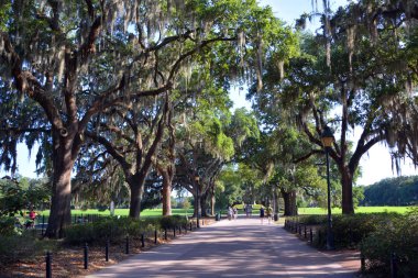 Savannah Georgia Usa 06 28 2016: Forsyth Park. Forsyth Park hem turistler hem de yerliler için popüler bir yerdir. Oturacak ve dinlenecek bir sürü yer var.