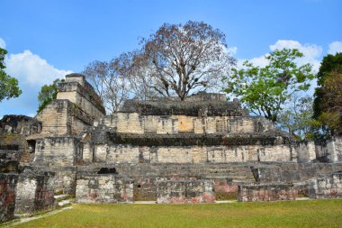 TIKAL, GUATEMALA MAYIS 03 2016: Guatemala Tikal Ulusal Parkı 'ndaki Kolomb öncesi Maya uygarlığının arkeolojik alanı 1979' dan beri UNESCO Dünya Mirası Alanı 'dır.