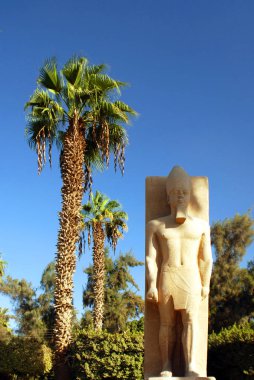 MEMPhis EGYPT 111 19 2008: Ramses II 'nin ayakta duran heykeli. 1820 yılında Mısır 'ın Memphis yakınlarındaki Büyük Ptah Tapınağı' nda Giovanni Battista Caviglia tarafından keşfedilmiştir. Kırmızı granitten yapılmış..