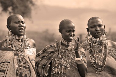 AMBOSELI, KENYA - 13 OCT: Masai kabilesinden tanımlanamayan Afrikalı insanlar Kenya 'nın Masai Mara kentinde 13 Ekim 2011' de geleneksel bir atlama dansı yapmaya hazırlanıyorlar. Onlar göçebe ve küçük köylerde yaşıyorlar..