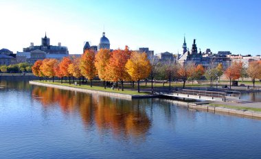 Montreal 'deki güzel sonbahar parkı