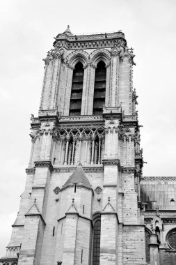 Notre Dame de Paris Katolik Hıristiyan Katedrali, güneşli bir bahar gününde Seine nehri kıyısında. Sudan görüntü. Paris