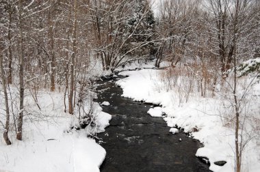 Karla kaplı ağaçlarla kaplı kış manzarası