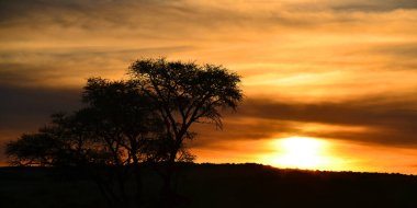 Namibya çölünde gün batımı, Afrika