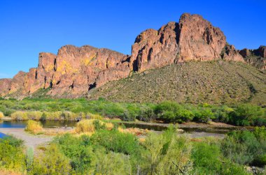 Tonto Ulusal Anıtı, Arizona 'nın orta kesimindeki Gila ilçesinde, Batıl inanç Dağları' nda bulunan bir ulusal anıttır. Bölge, Sonoran Çölü 'nün kuzeydoğu sınırında, kurak bir yaşam alanında yer almaktadır.