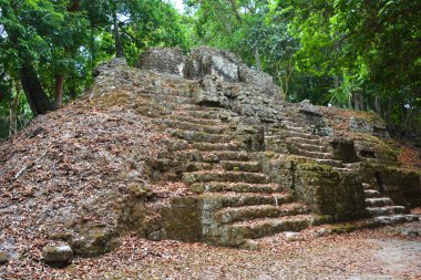 TIKAL, GUATEMALA MAYIS 03 2016: Guatemala Tikal Ulusal Parkı 'ndaki Kolomb öncesi Maya uygarlığının arkeolojik alanı 1979' dan beri UNESCO Dünya Mirası Alanı 'dır.