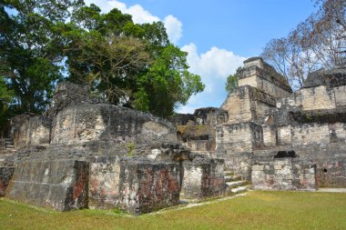 TIKAL, GUATEMALA MAYIS 03 2016: Guatemala Tikal Ulusal Parkı 'ndaki Kolomb öncesi Maya uygarlığının arkeolojik alanı 1979' dan beri UNESCO Dünya Mirası Alanı 'dır.