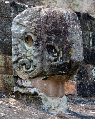 COPAN HONDURAS 05 05: 16: Copan top sahasının ayrıntıları Maya medeniyetinin batı Honduras Copan Bölümü 'nde bulunan bir arkeolojik alanıdır.