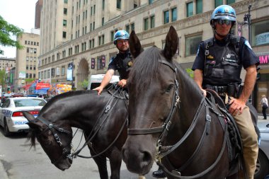 MONTREAL QUEBEC CANADA 06: 09 17: Atlı devriye memurları at birimleriyle ilgili polis operasyonlarında uzmanlar