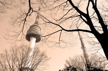 SEOUL, Güney Kore - Nisan 04 2013: N Seul Kulesi. Seul 'ün merkezindeki Namsan Dağı' nda. Seul 'ün en yüksek noktasını gösteriyor..