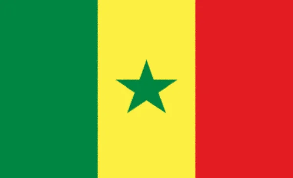 Ícone Bandeira Idioma Senegal Ilustração Isolada — Fotografia de Stock