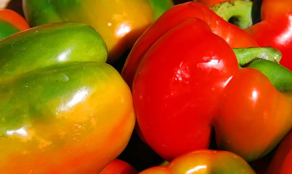 市場のための新鮮なトマトが充填された箱 — ストック写真