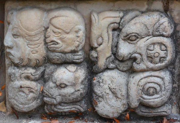 Copan Honduras Stelae Copan Sitio Arqueológico Civilización Maya Ubicado Departamento — Foto de Stock