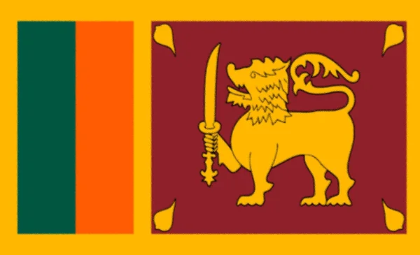 Vektorový Obraz Srílanské Vlajky Eps10 — Stock fotografie