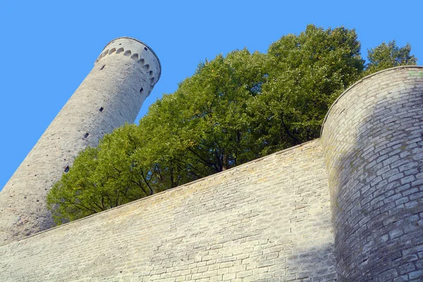 Tallinn Estonia Settembre 2015 Torre Del Castello Toompea Domberg Collina — Foto Stock