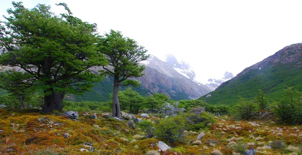 Tájkép Monte Fitz Roy Hegy Nemzeti Park Los Glaciares Patagónia — Stock Fotó