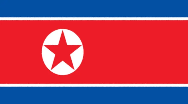 Kuzey Kore Vektör Bayrağı Pyongyang — Stok fotoğraf