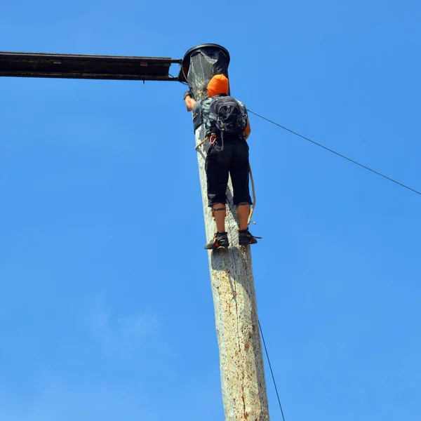 Vancouver Canada June 2015 Šplhání Kmenech Demonstraci Grouse Mountain Lumberjack — Stock fotografie