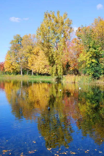 Peisaj Toamna Provincia Quebec Canada — Fotografie, imagine de stoc