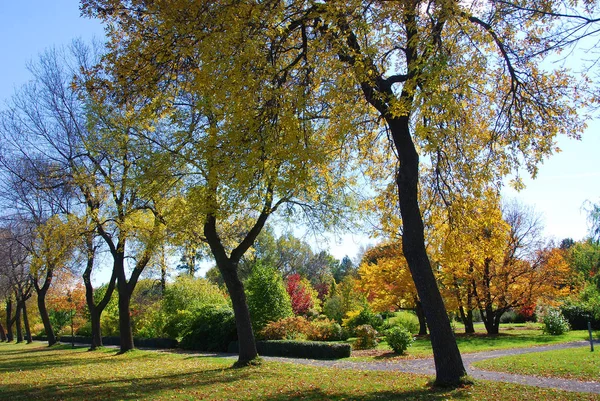 Powerscourt Gardens Autumn Colors Landscape Wicklow County Dublin Ireland — Stock Photo, Image