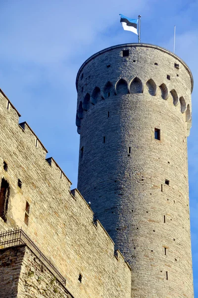 Tallinn Estonia Settembre 2015 Torre Del Castello Toompea Domberg Collina — Foto Stock