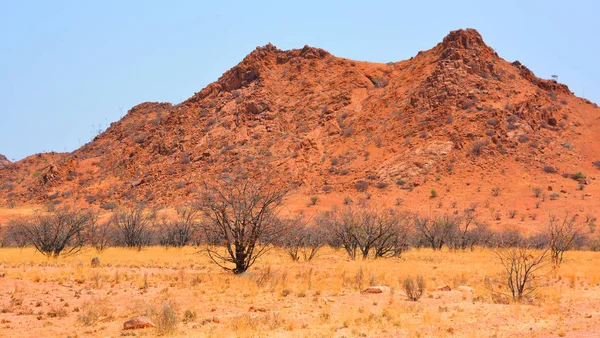 Landskapet Namib Naukluft National Park Nationalpark Namibia Som Omfattar Del — Stockfoto