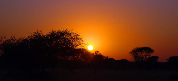 Sunset at Kruger park South Africa is one of the largest game reserves in Africa.