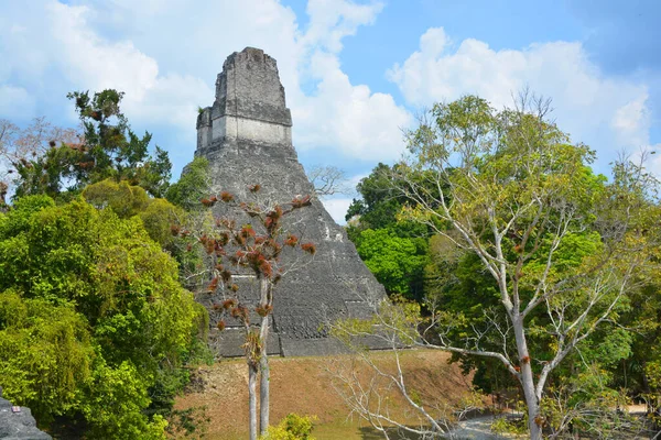 Tikal Guatemala Maio 2016 Sítio Arqueológico Civilização Maia Pré Colombiana — Fotografia de Stock