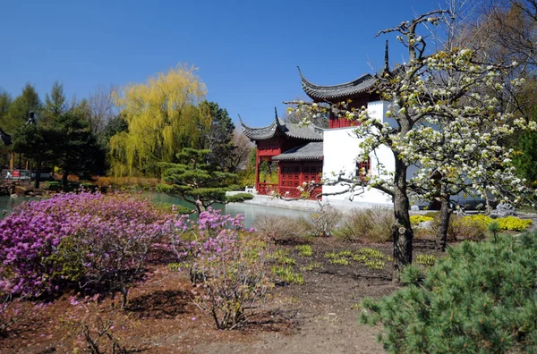 Traditional chinese garden with pond in sunny day
