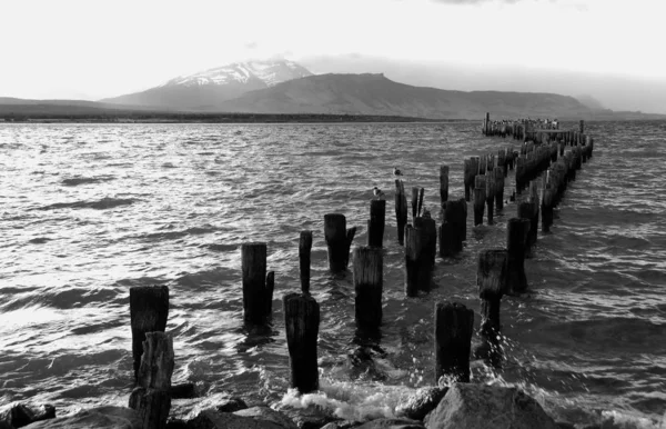 Landscape Puerto Natales Місто Чилі Пуерто Наталс Столиця Обох Комун — стокове фото