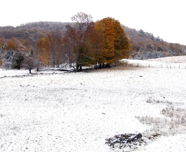 Late Fall Landscape Bromont Eastern Township Quebec Canada — Stock Photo, Image