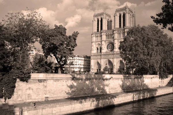 Paris Fransa Daki Notre Dame Katedrali — Stok fotoğraf