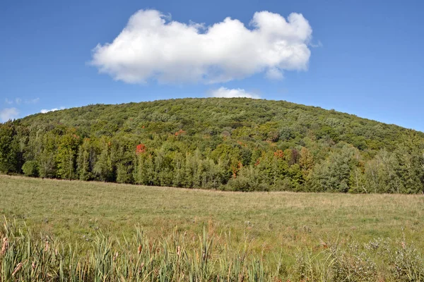 カナダ ケベック州の初秋の風景東部の町Bromont — ストック写真