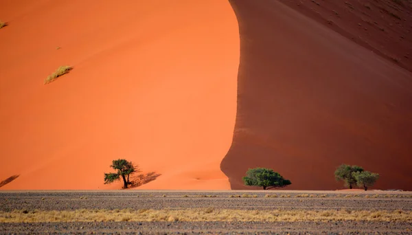 Paesaggio Desertico Con Dune Sabbia Nel Parco Nazionale Namib Naukluft — Foto Stock