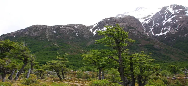 Landskap Monte Fitz Roy Berget Nationalparken Los Glaciares Patagonien Gränsen — Stockfoto