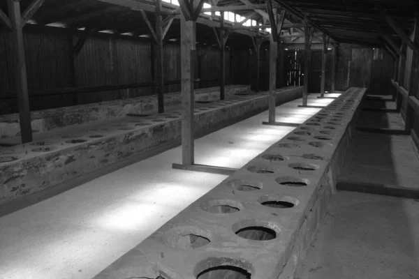 Auschwitz Birkenau Polska Baraki Toaletowe Obozu Koncentracyjnego Auschwitz Były Siecią — Zdjęcie stockowe