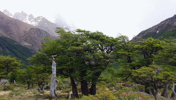 アルゼンチンとチリの国境にあるパタゴニアのロス グラシアレス国立公園にあるモンテ フィッツ ロイ山の風景 チャルテン村近くの南パタゴニア氷原に位置する — ストック写真