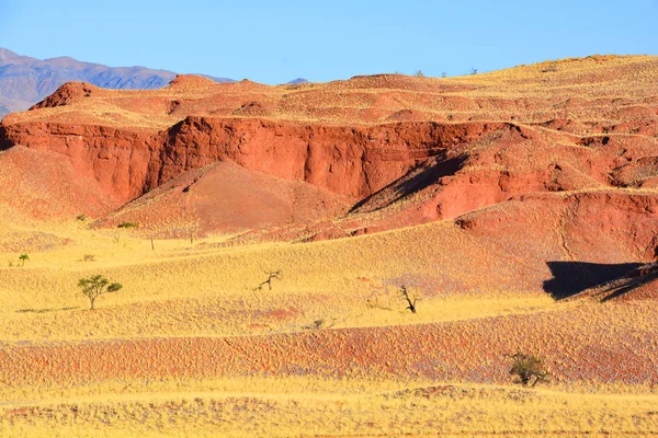 Пейзаж Національного Парку Наміб Науклуфт Англ Landscape Namib Naukluft National — стокове фото