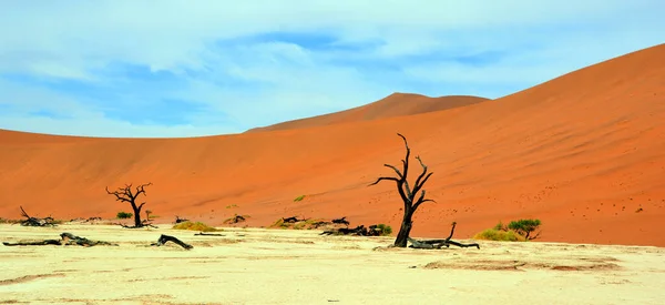 Deadvlei Egy Fehér Agyag Serpenyő Amely Sossusvlei Leghíresebb Sós Serpenyőjéhez — Stock Fotó