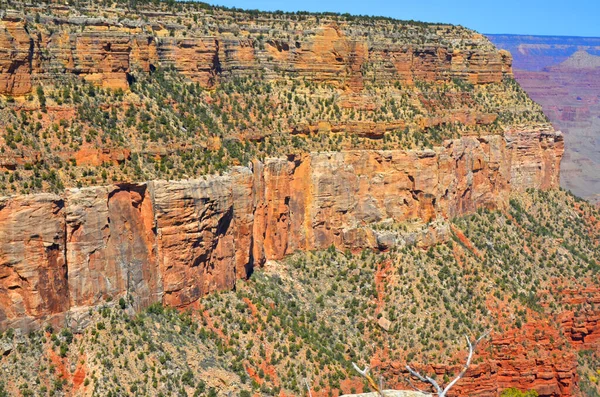 Gran Cañón Cañón Lateral Escarpado Tallado Junto Río Colorado Que — Foto de Stock